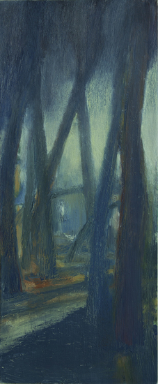 El camí de l´aigua -maanlicht in het bos-