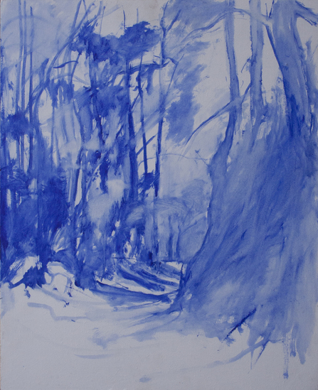 El camí de l'aigua monochroom