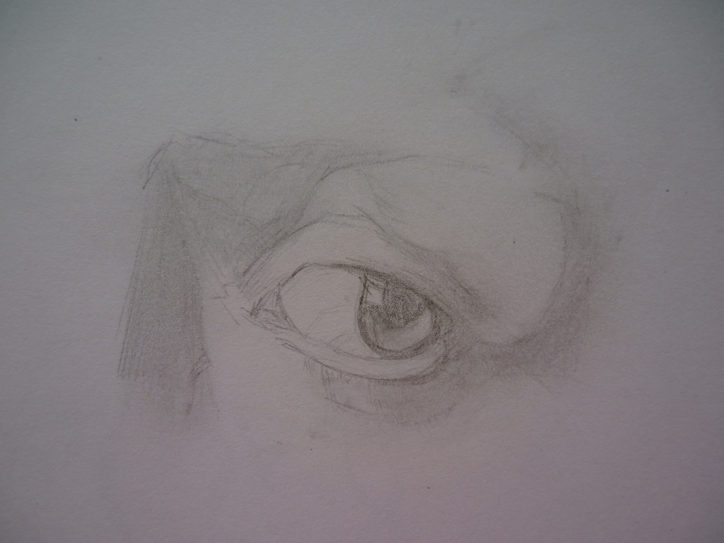 schets oog meisje met de parel van Vermeer