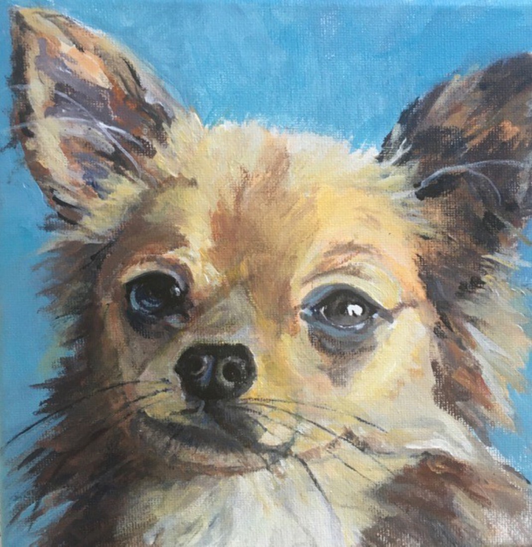 CHIHUAHUA