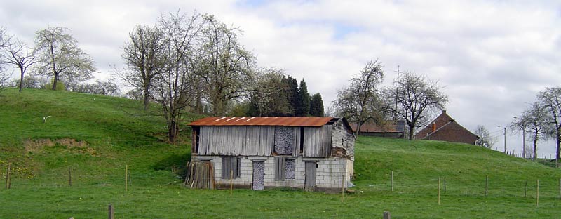 Fruits of the County of Loon