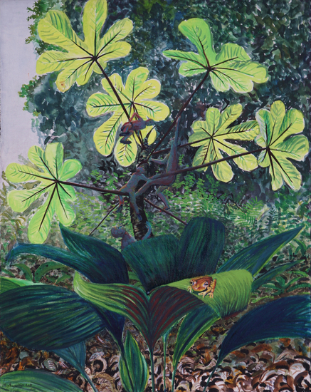 Hypsiboas en de kleine mannetjes