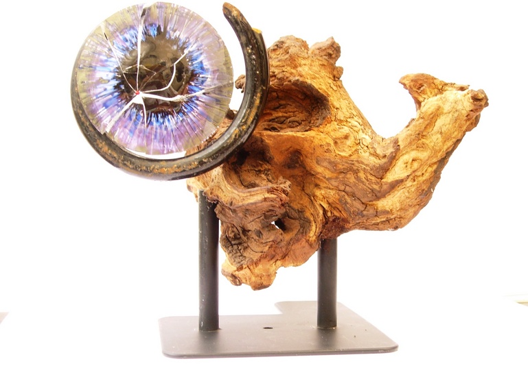 IN HET OOG GESPRONGEN