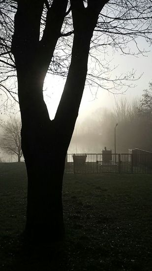 Mist
