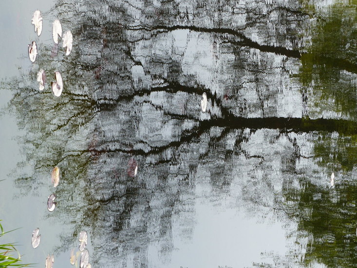 Spiegeling