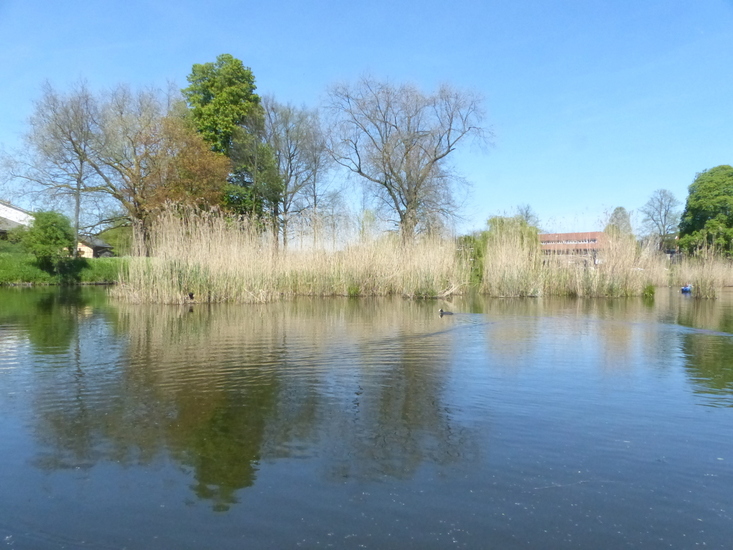 Landschap
