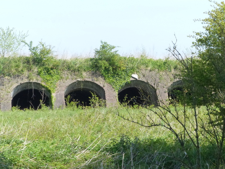 Fortmond