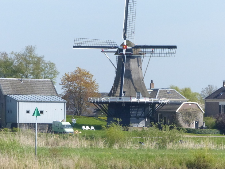 Molen