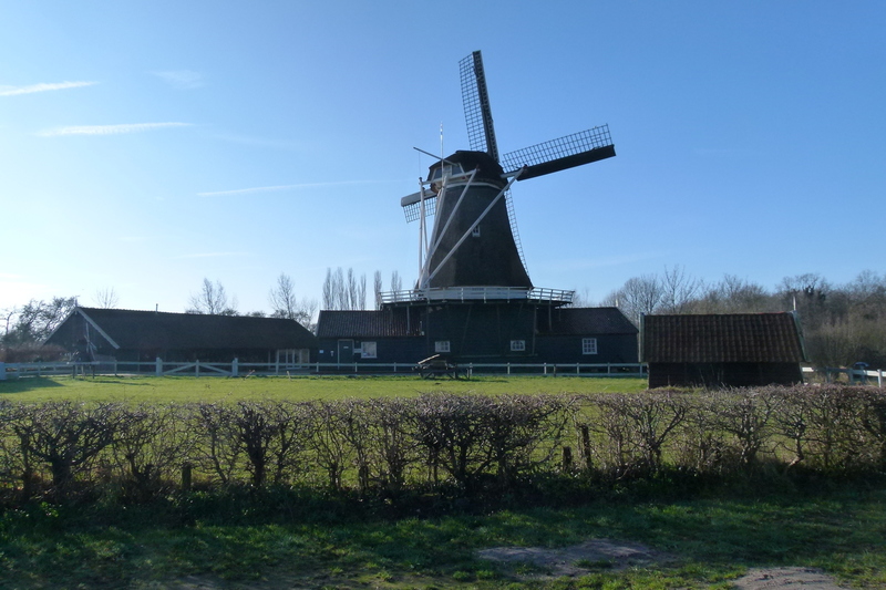 Bolwerk molen