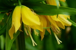 Natuur