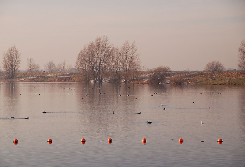 Wintermorgen. Зимнее утро.