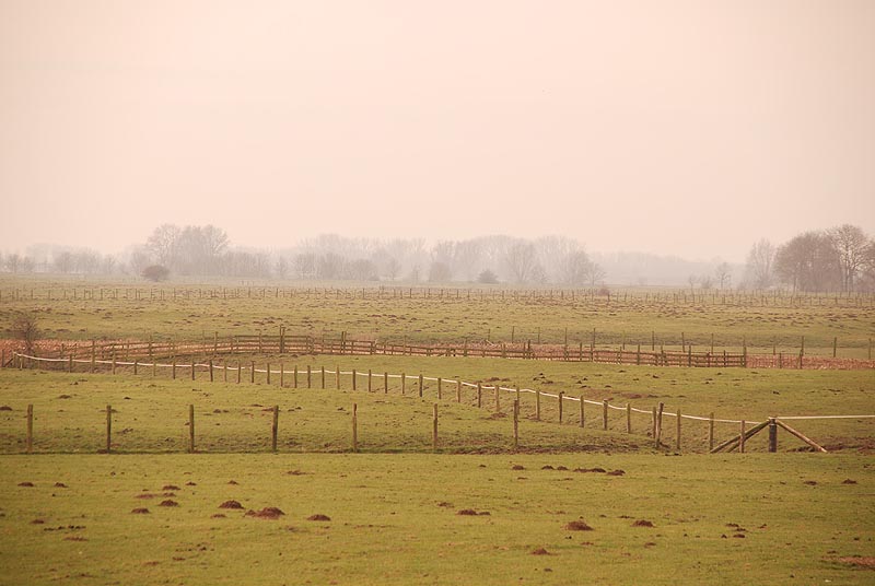 Omheiningen. Оградки.