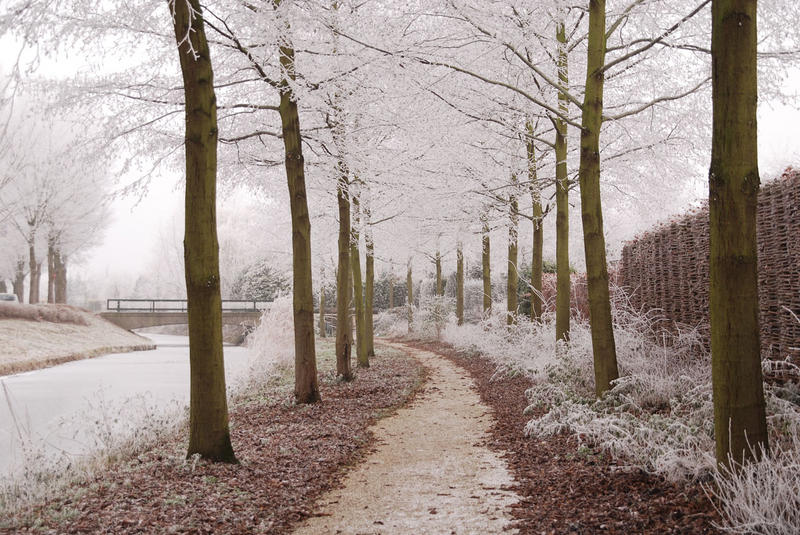 Lekker fris. Свежо.