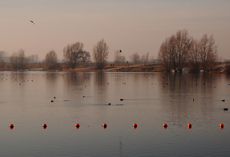 Wintermorgen (2). Зимнее утро (2).