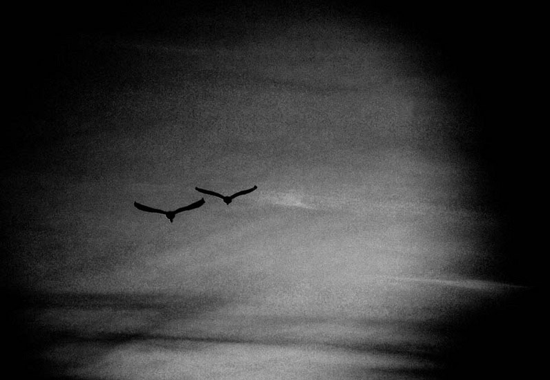 Denken aan snel voorbijgaande winterdagen. О скоротечности зимних дней.