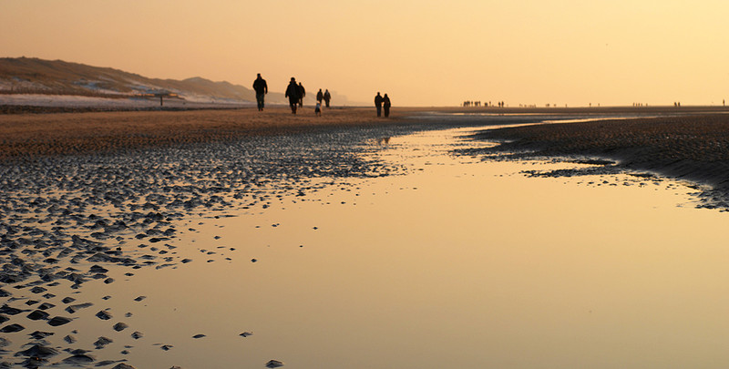 Avond silhouetten. Вечерние силуэты.