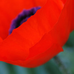 Ik probeer door verschillende belichtingen en perspectieven de kracht van de kleuren te laten spreken.