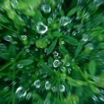 Alles wat ik heb met de druppels gefotografeerd .