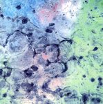 Er zijn foto`s van verschillende structuren, materialen, oppervlaktes...