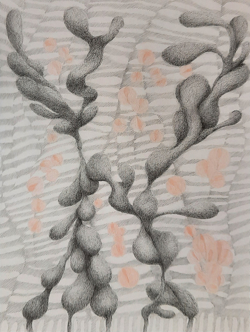 Zonder titel, potloodtekening, ingelijst 50 x 65 cm