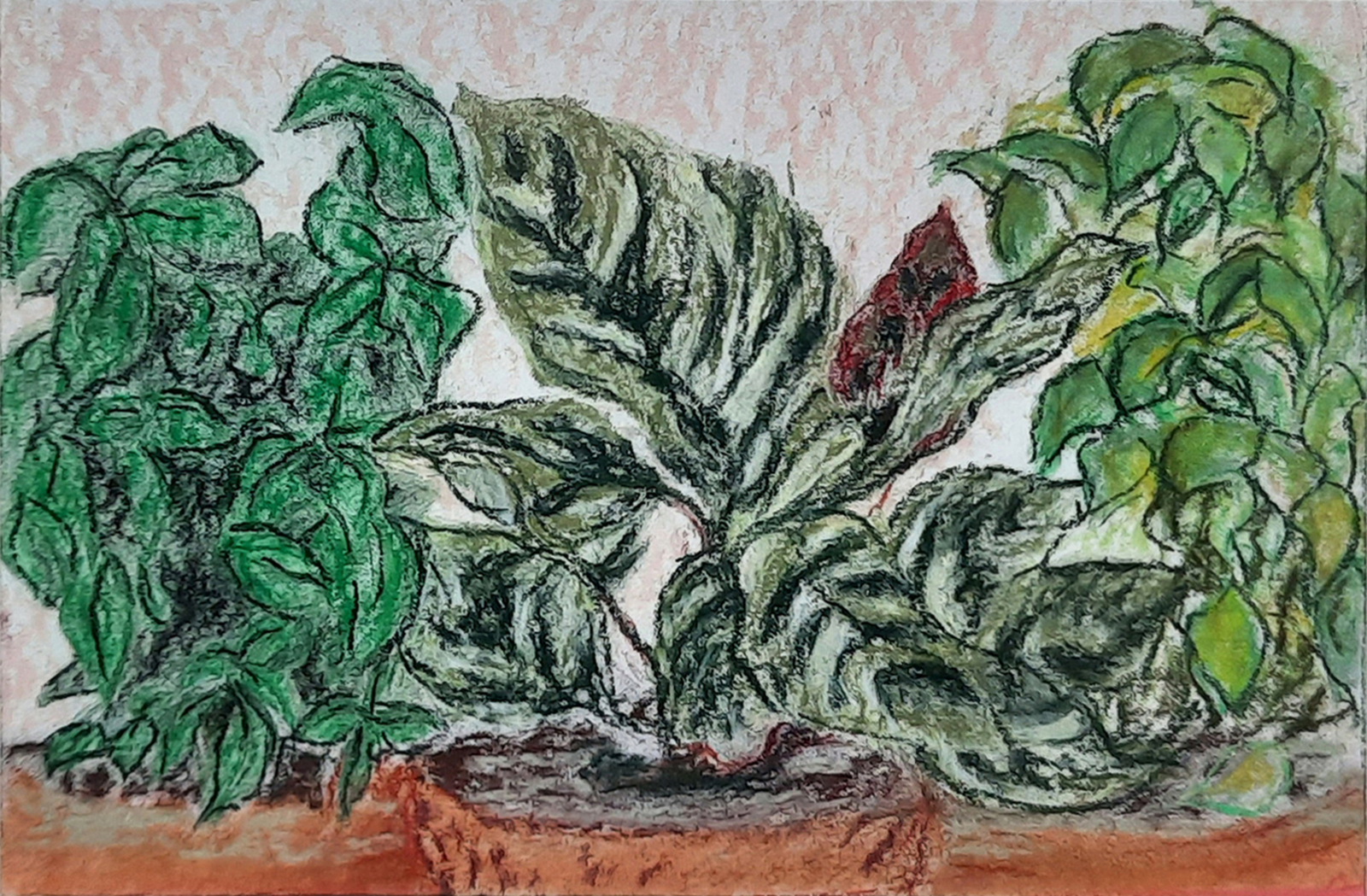 Zonder titel (drie planten)