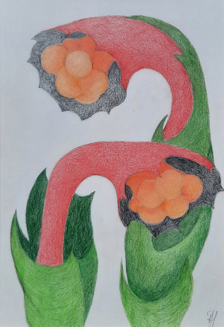 Zonder titel  (twee bloemen)