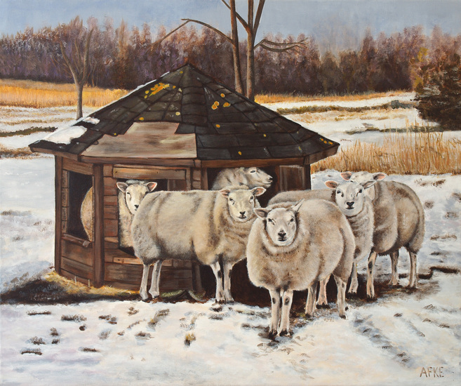 Schapen in de sneeuw