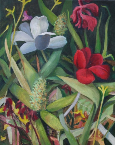 witte tulp met rode bloem