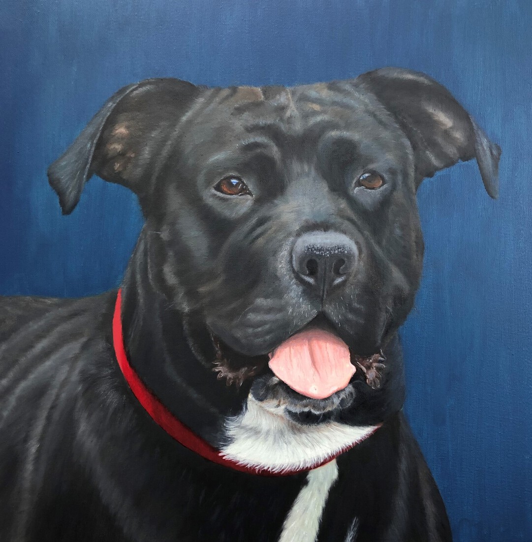 portret van een hond