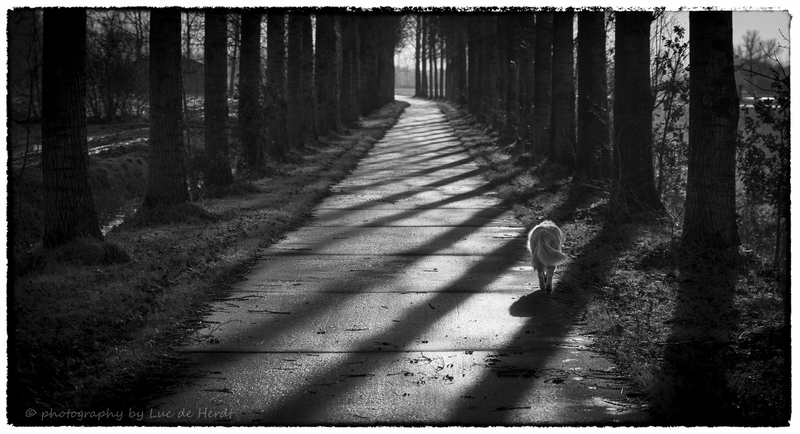 Tussen de lijntjes lopen