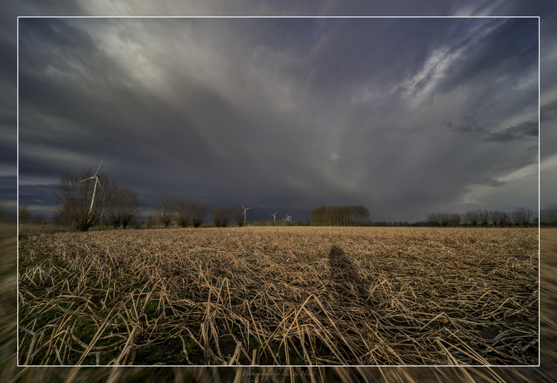 In het veld na een bui