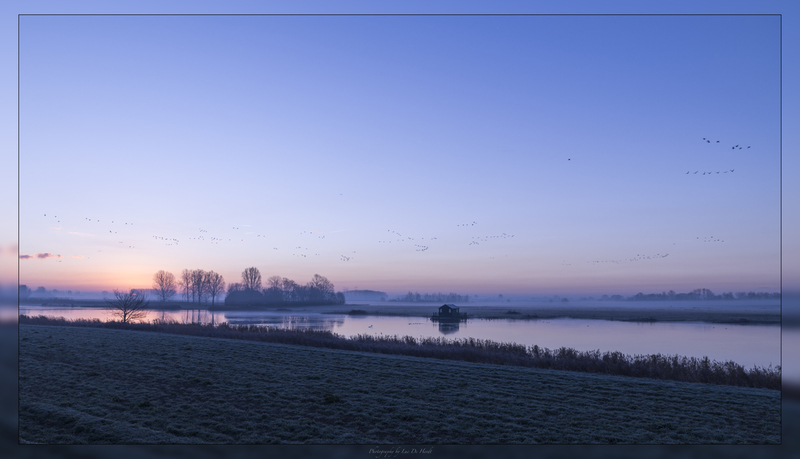Vogelhoek (NL)