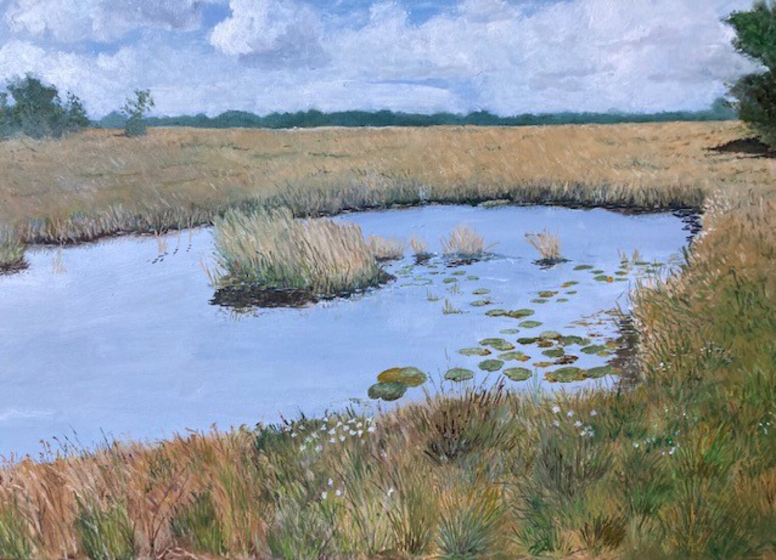  Drenthe