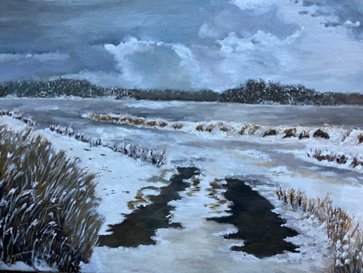 Winter in de Weerribben