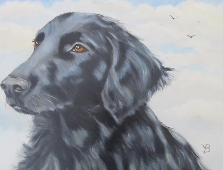 Tys flatcoated retriever
