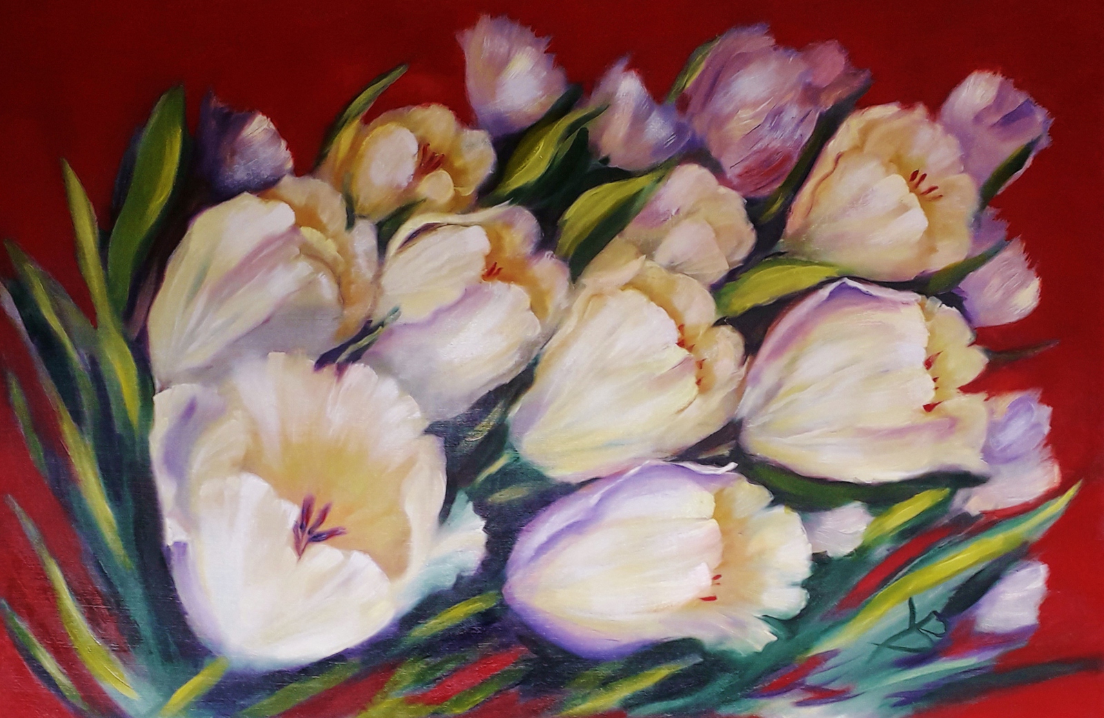les tulips 2