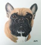 Verschillende schilderijen die ik gemaakt heb.