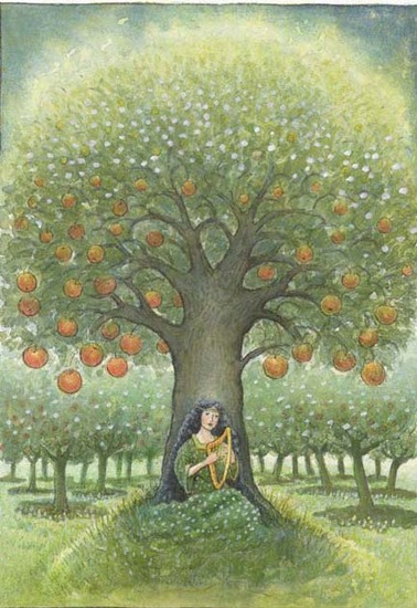 Appelboom - Vorsten van Dyfed
