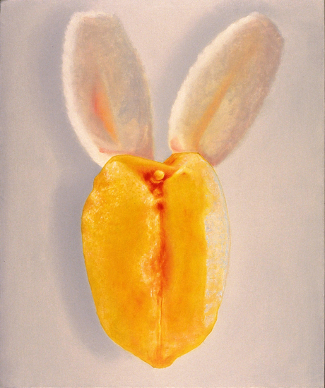 hoe een koe een haas vangt