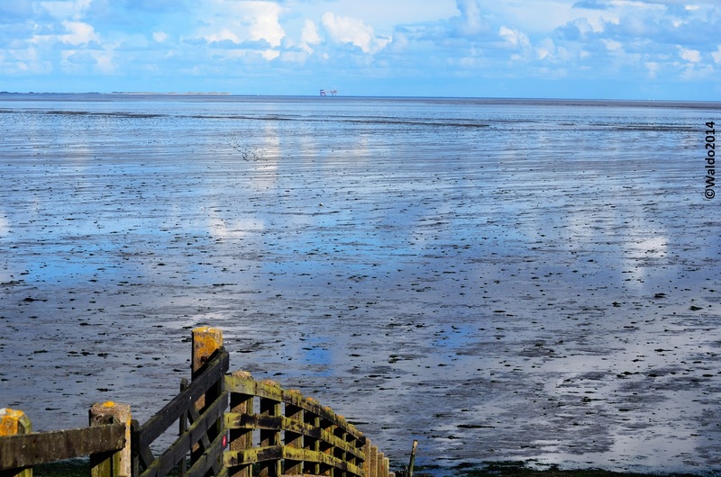 Wadden Sea at Wierum