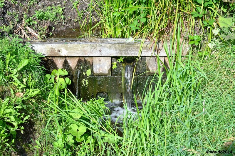 water management