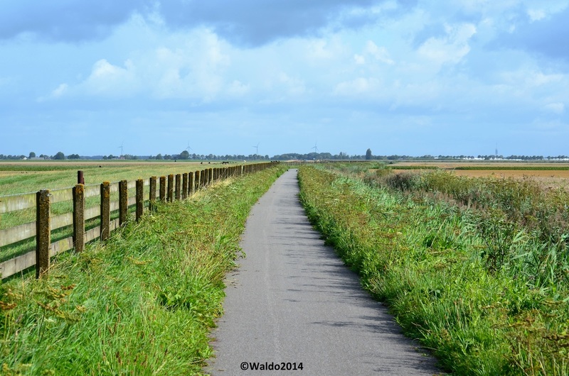 bicycle paths network