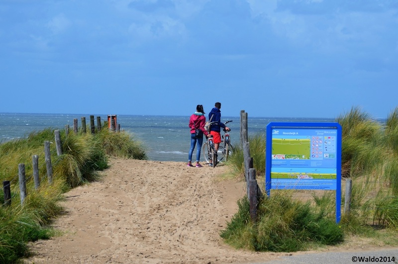 dunes as protection against the sea