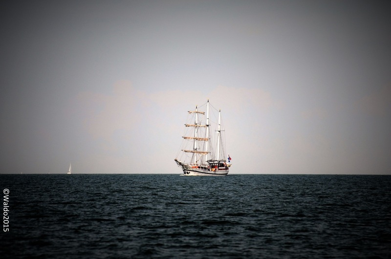 on the way to Sail Amsterdam