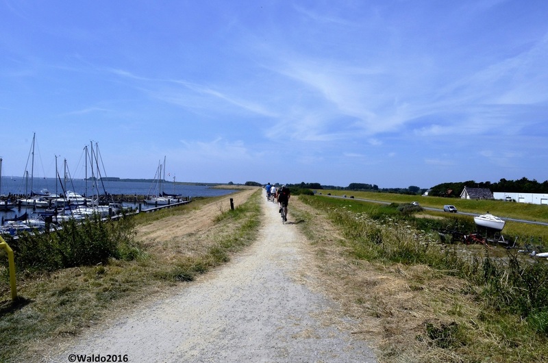 cyclists and pedestrians have priority