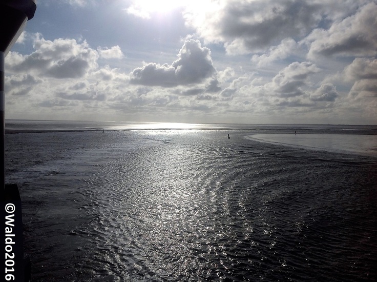 Wadden Sea, a living wilderness