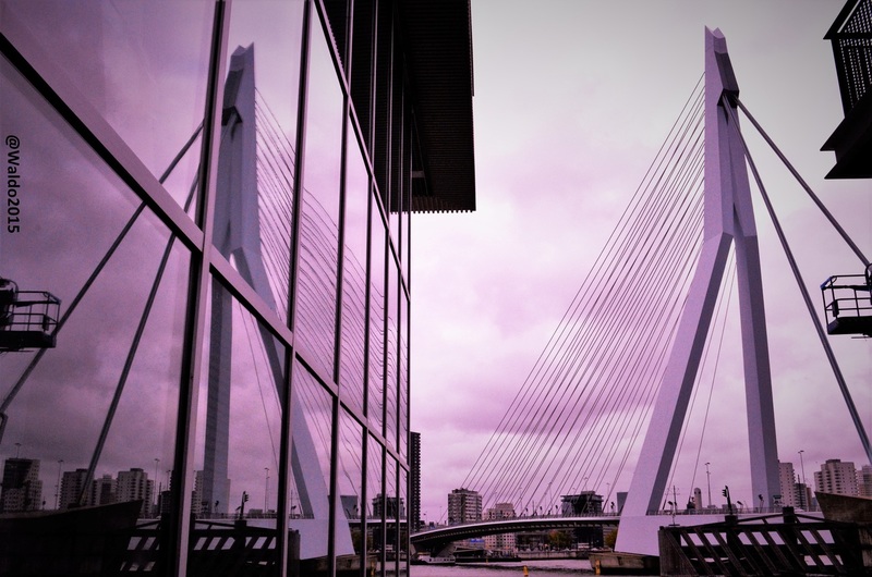 Rotterdam