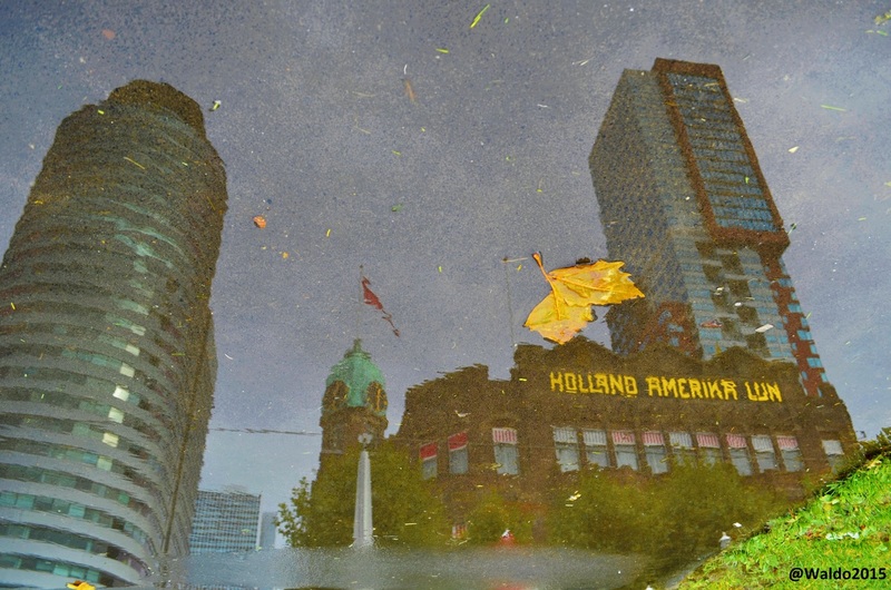 Rotterdam