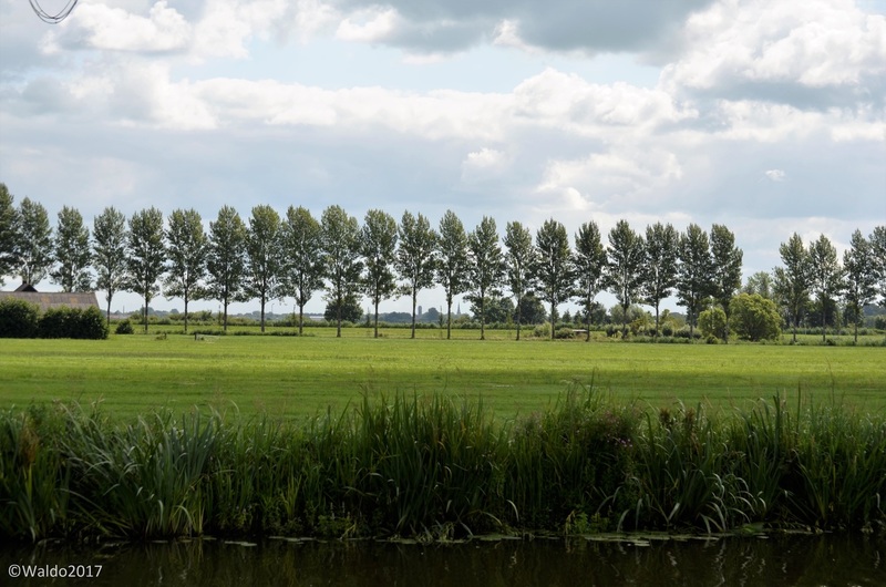 iconic landscape element