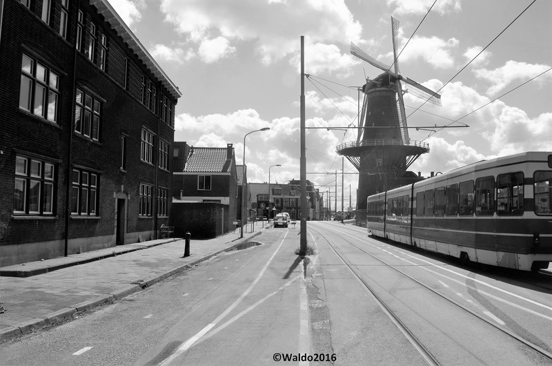 Delft